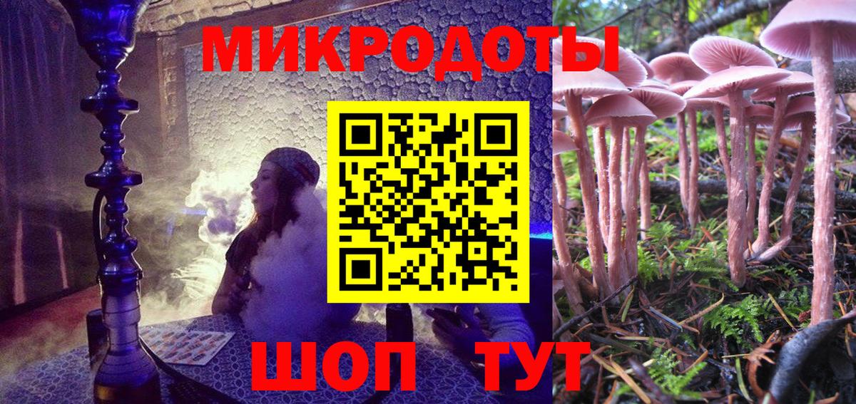 Псилоцибиновые грибы Cubensis Алексеевка