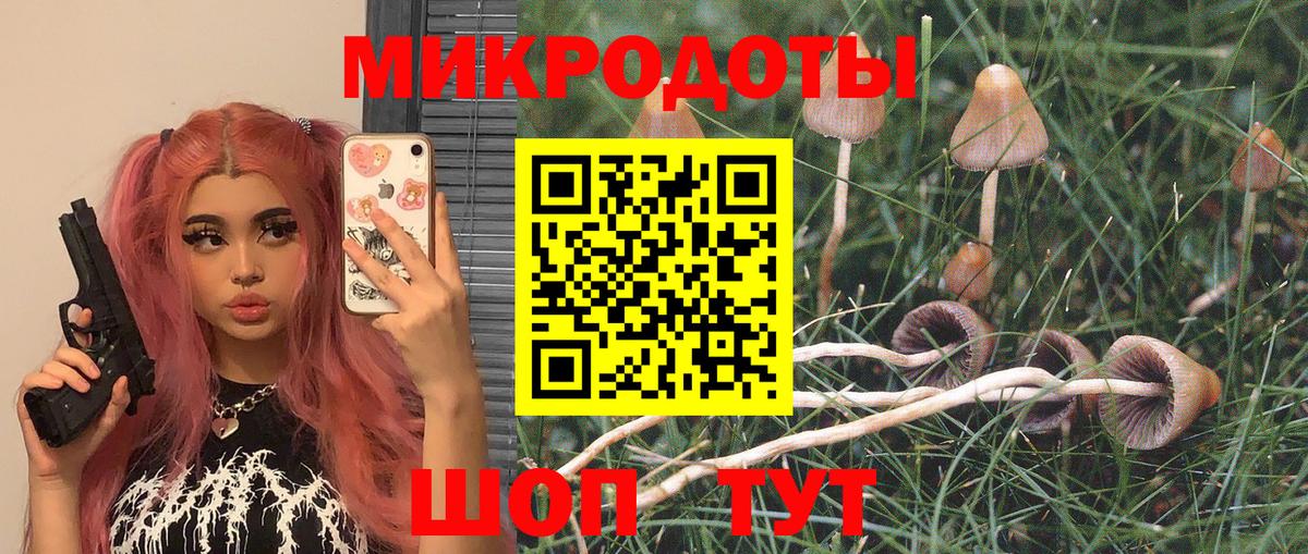 Псилоцибиновые грибы мухоморы  Вход с VPN  Алексеевка  Галлюциногенные грибы прущие грибы 